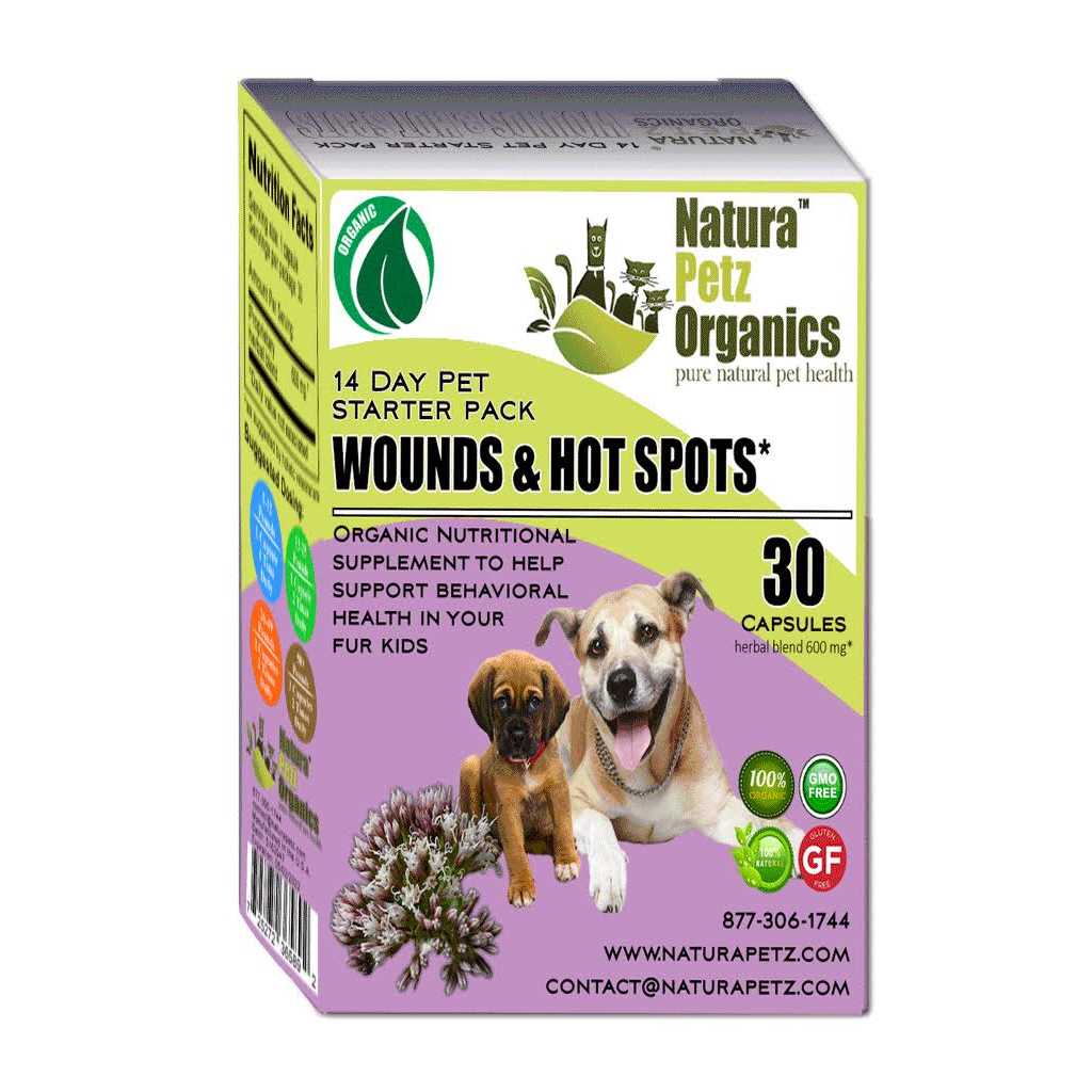 Dog Hot Spot Wound Starter Pak Z29563