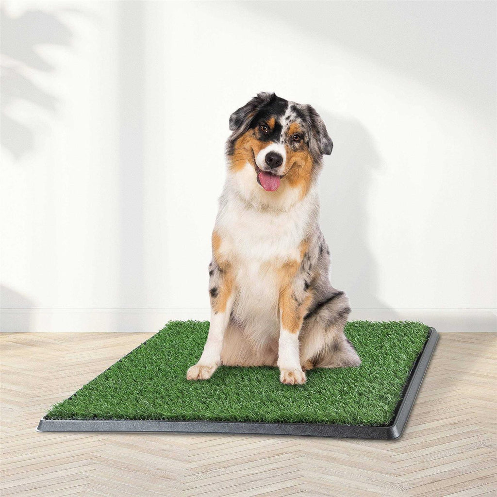 Artificial Grass Dog Potty Pad with Tray E5691