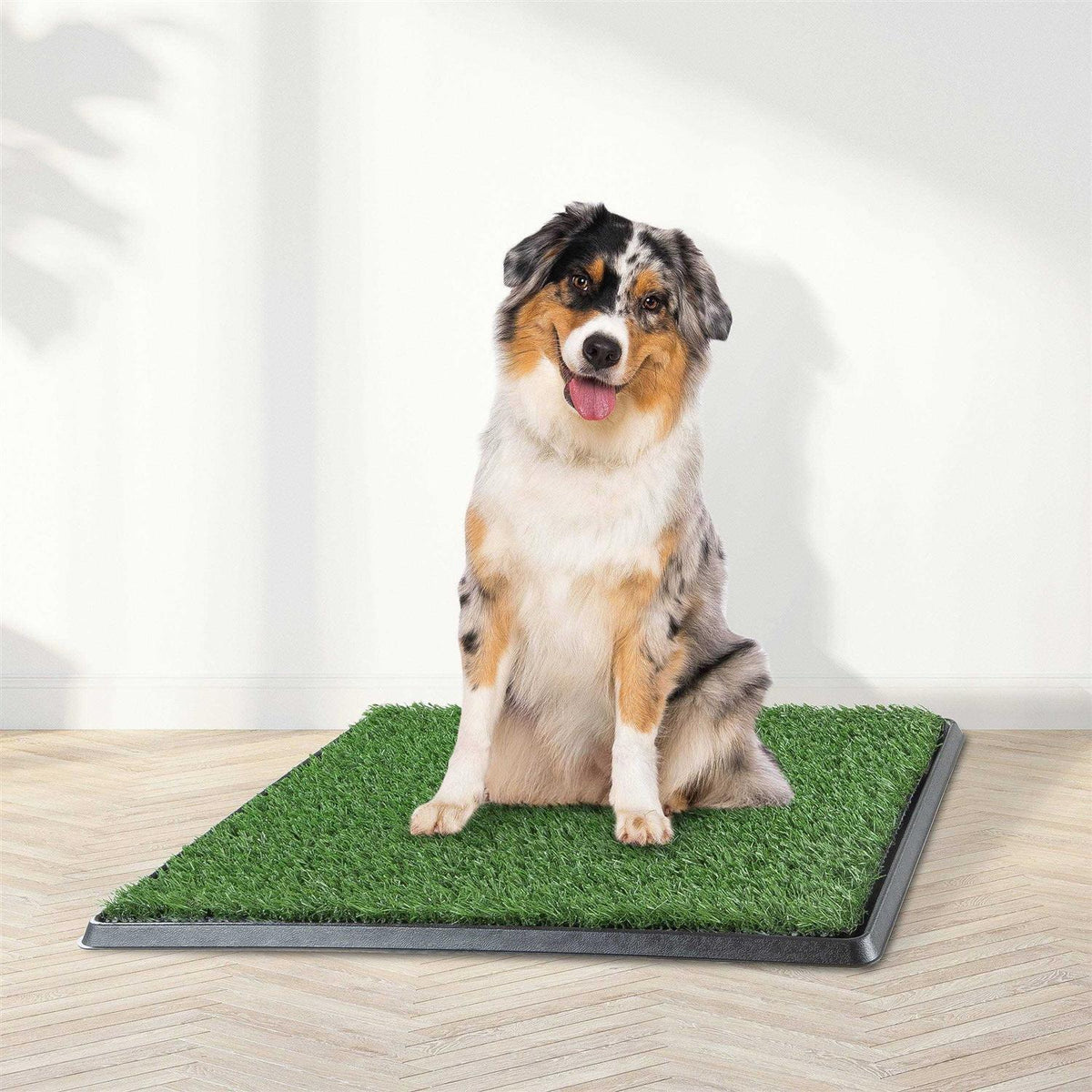 Artificial Grass Dog Potty Pad with Tray E5691