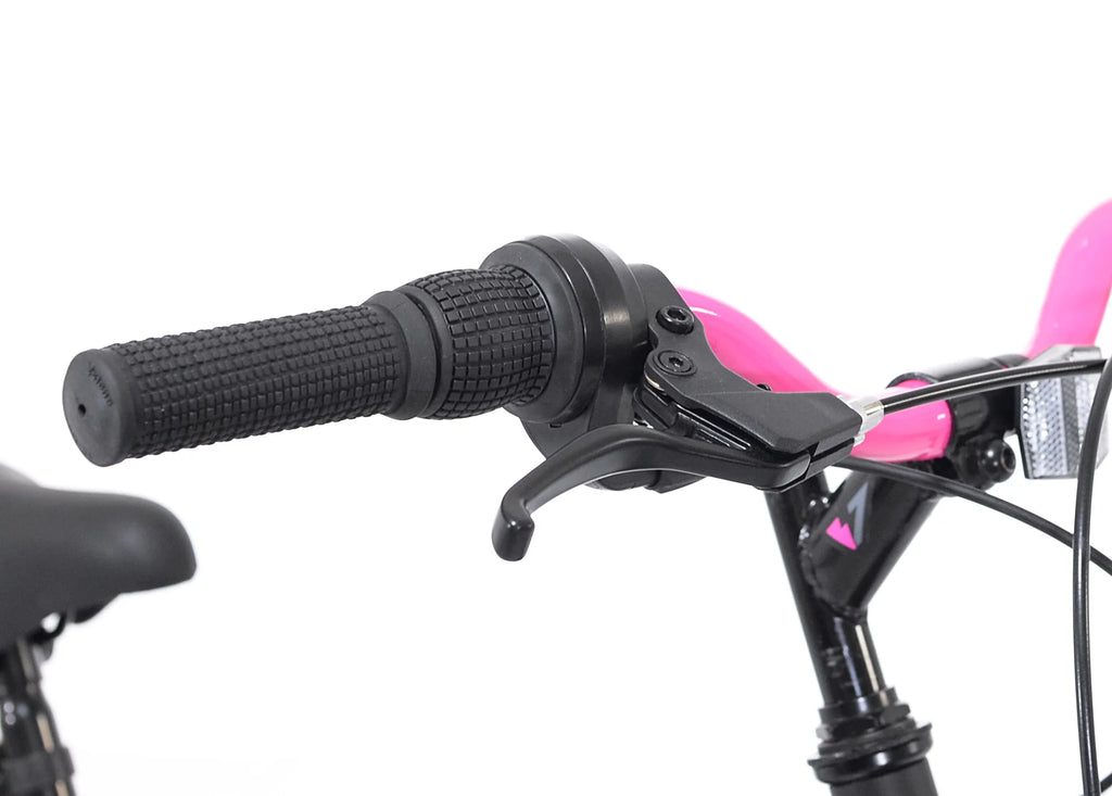 20-inch Girl's Mountain Bicycle E6274