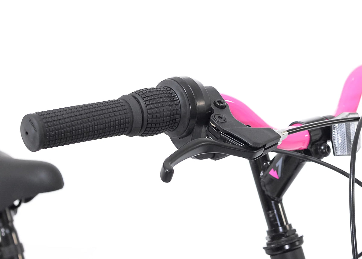 20-inch Girl's Mountain Bicycle E6274