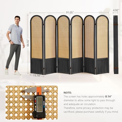 4 Panel Folding Rattan Room Divider A385