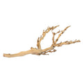 Forest Branch O810