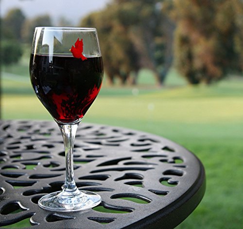 Magnetic Drink Markers Set of 6 Y3665