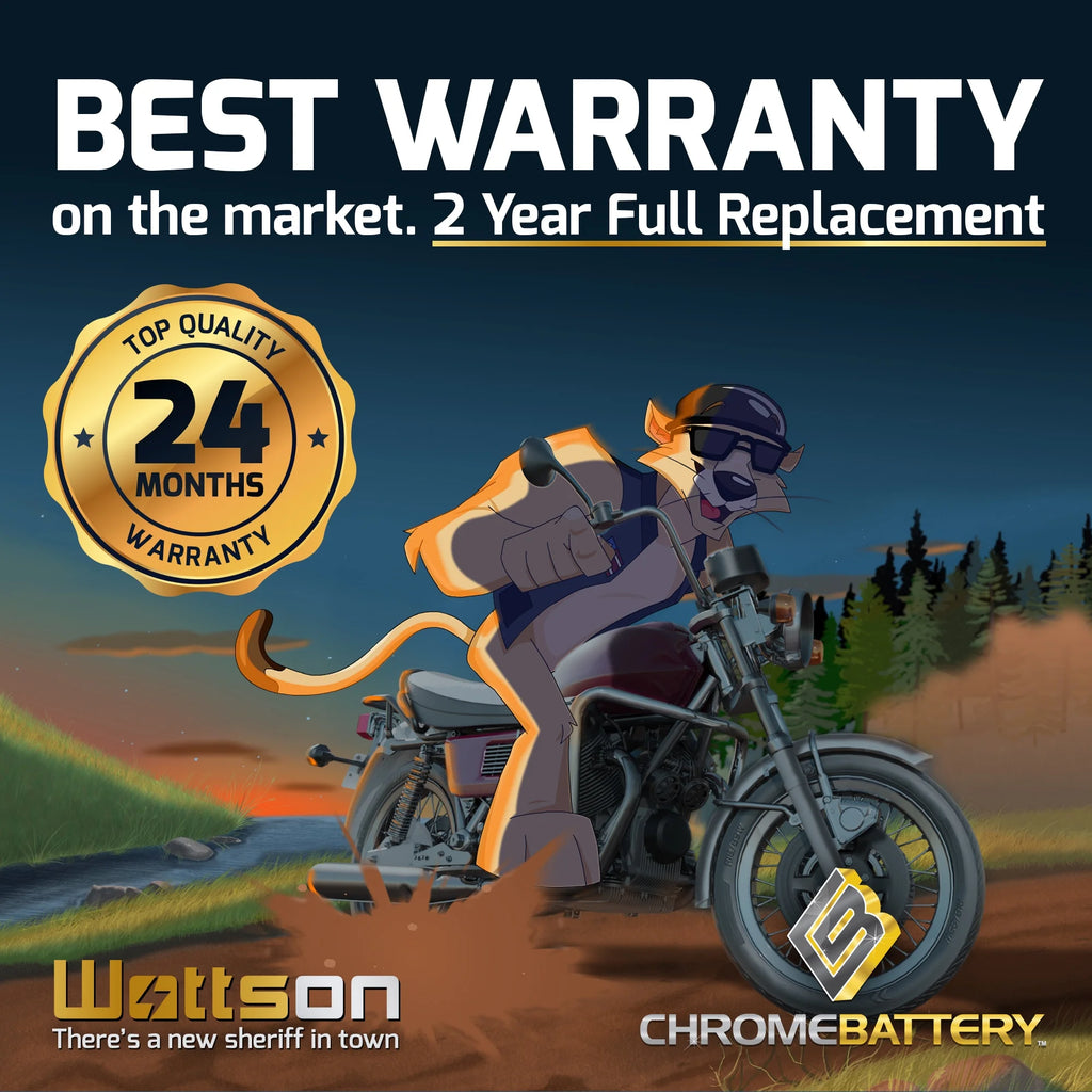 12 Volt 14 Ah 190 CCA Motorcycle Battery A589313