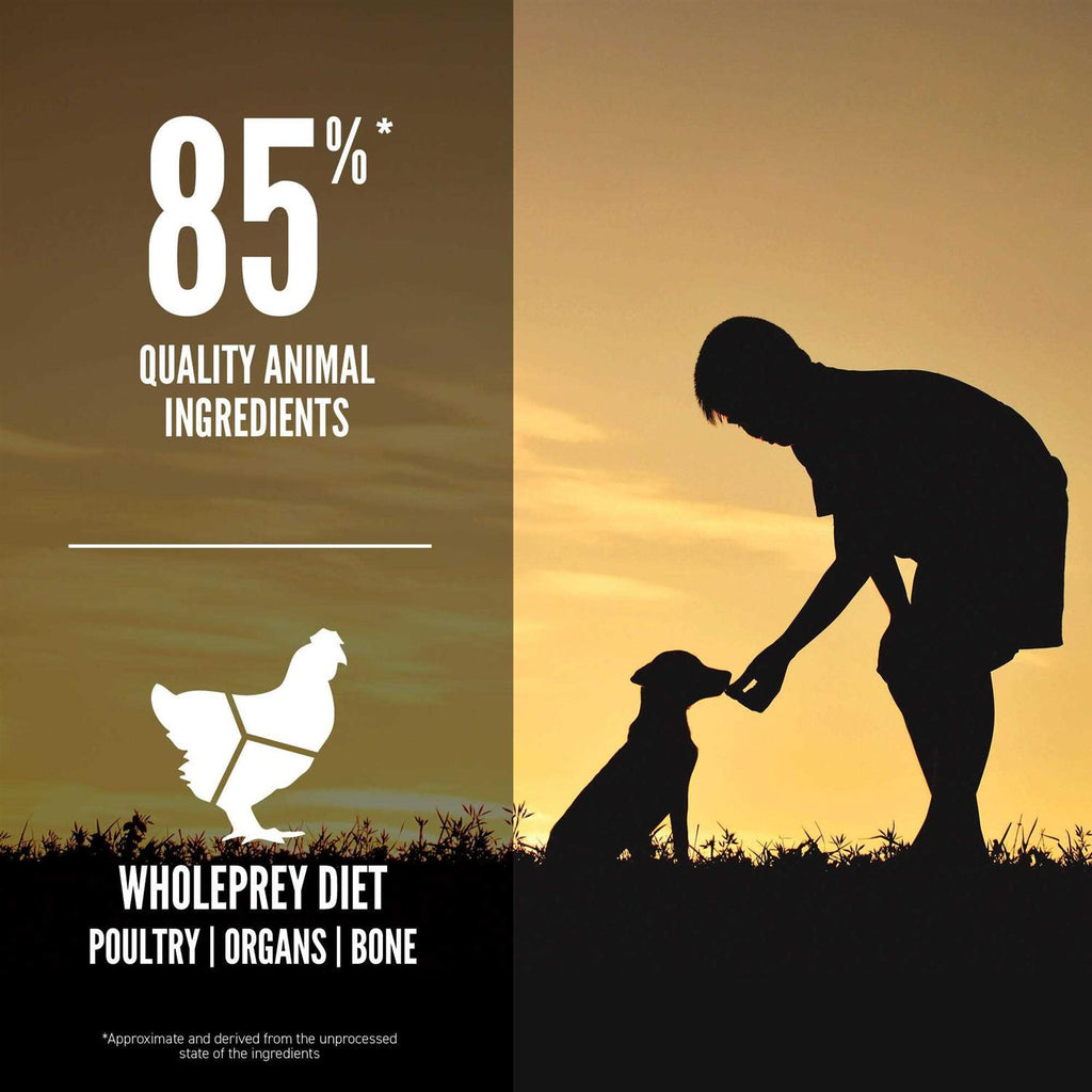 Large Breed Dry Dog Food S453
