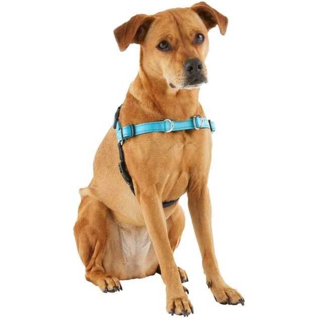 Padded Reflective No Pull Harness U788