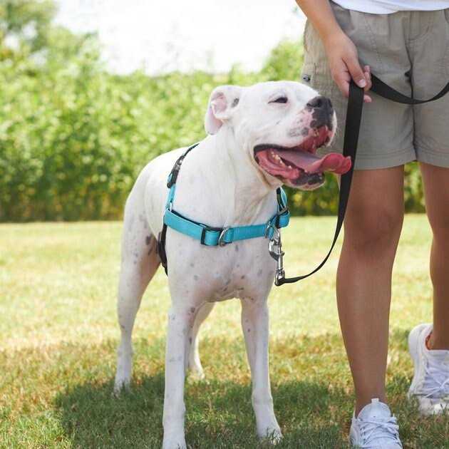 Padded Reflective No Pull Harness U788