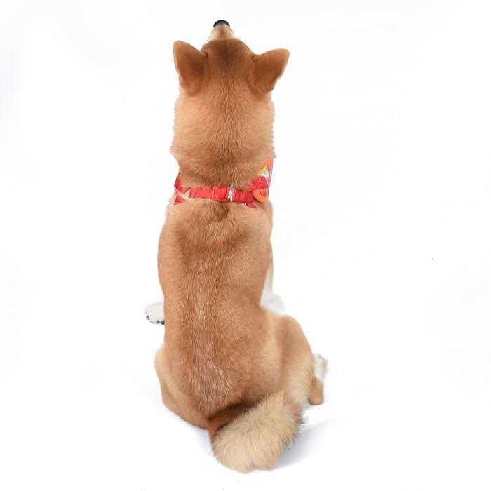 Dog Harness for Large Dogs No Pull Dog Harness Vest W617
