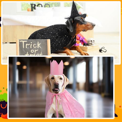 4 Pcs Halloween Pet Costume Witch Cloak Hat and Crown Set M38323