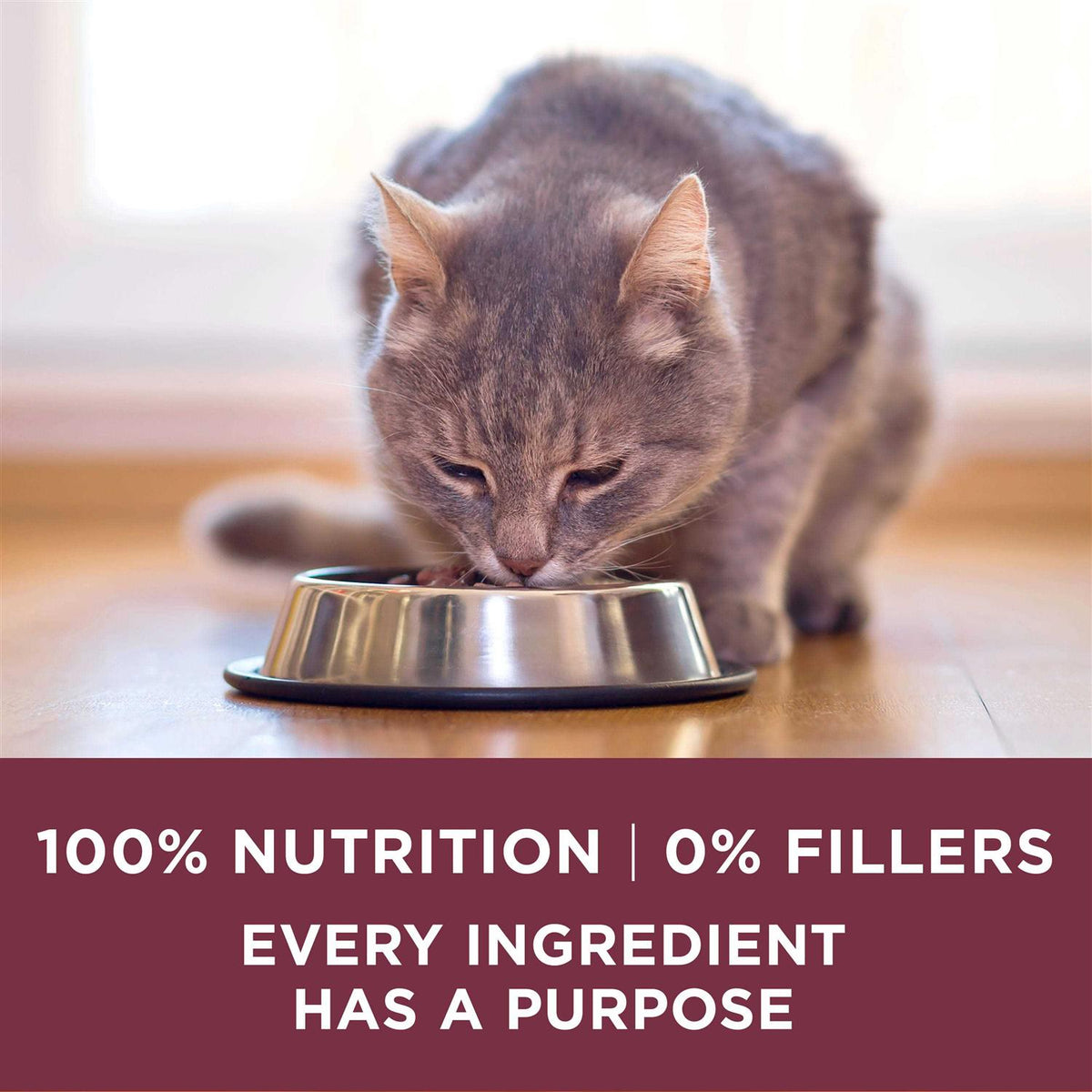 Urinary Tract Health Dry Cat Food S158