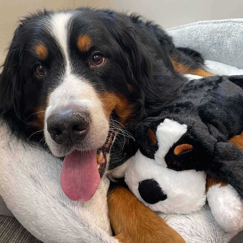 Smart Heartbeat Toy for Pet Anxiety Relief O760595
