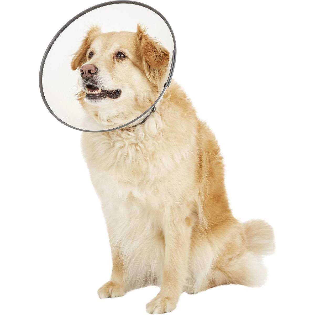 XL E-Collar H62975
