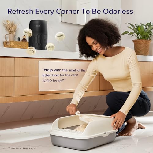 White Portable Air Purifier S862