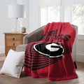 Officially Licensed Raschel Throw Blanket 60" x 80" R54392