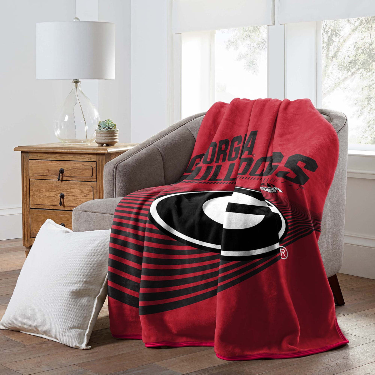 Officially Licensed Raschel Throw Blanket 60" x 80" R54392