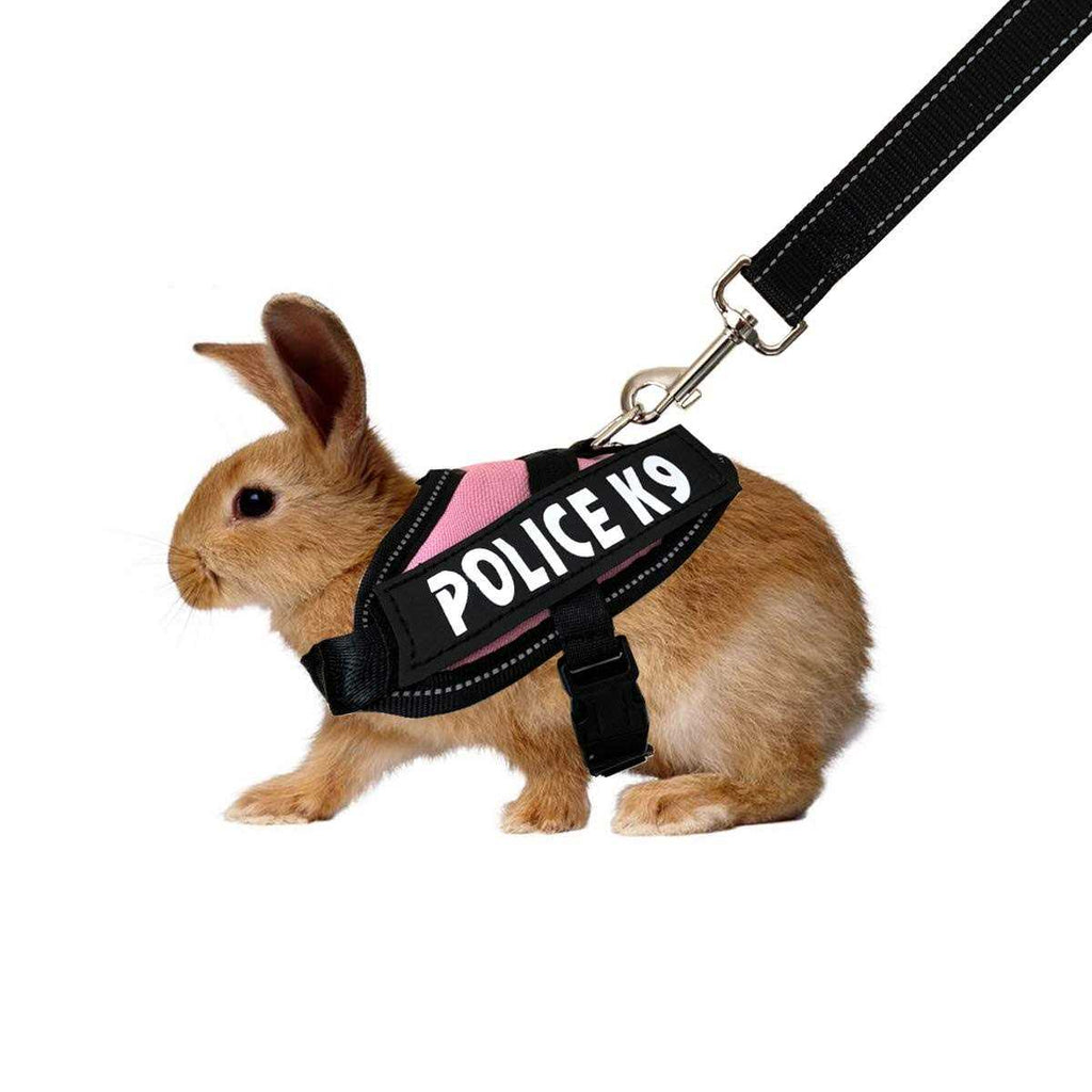 Rabbit Harness with Leash U12341