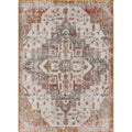 Multicolored Antique Pattern Area Rug 4' x 6' P576762
