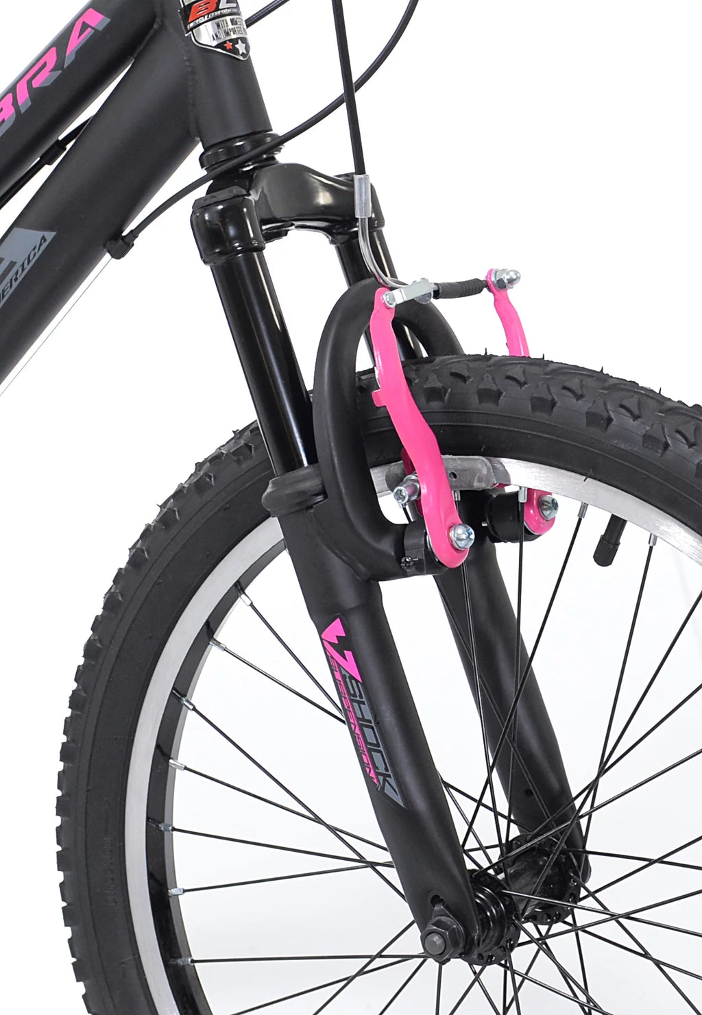 20-inch Girl's Mountain Bicycle E6274