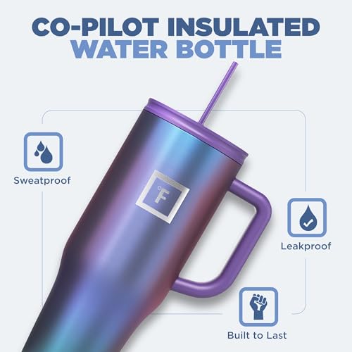16 Oz Insulated Travel Tumbler with Straw N8958