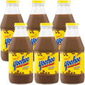 Chocolate Drink 15.5Oz Glass Bottle Pack Of 6 F920873