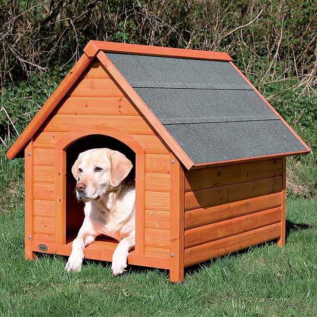 Pet Supplies O975