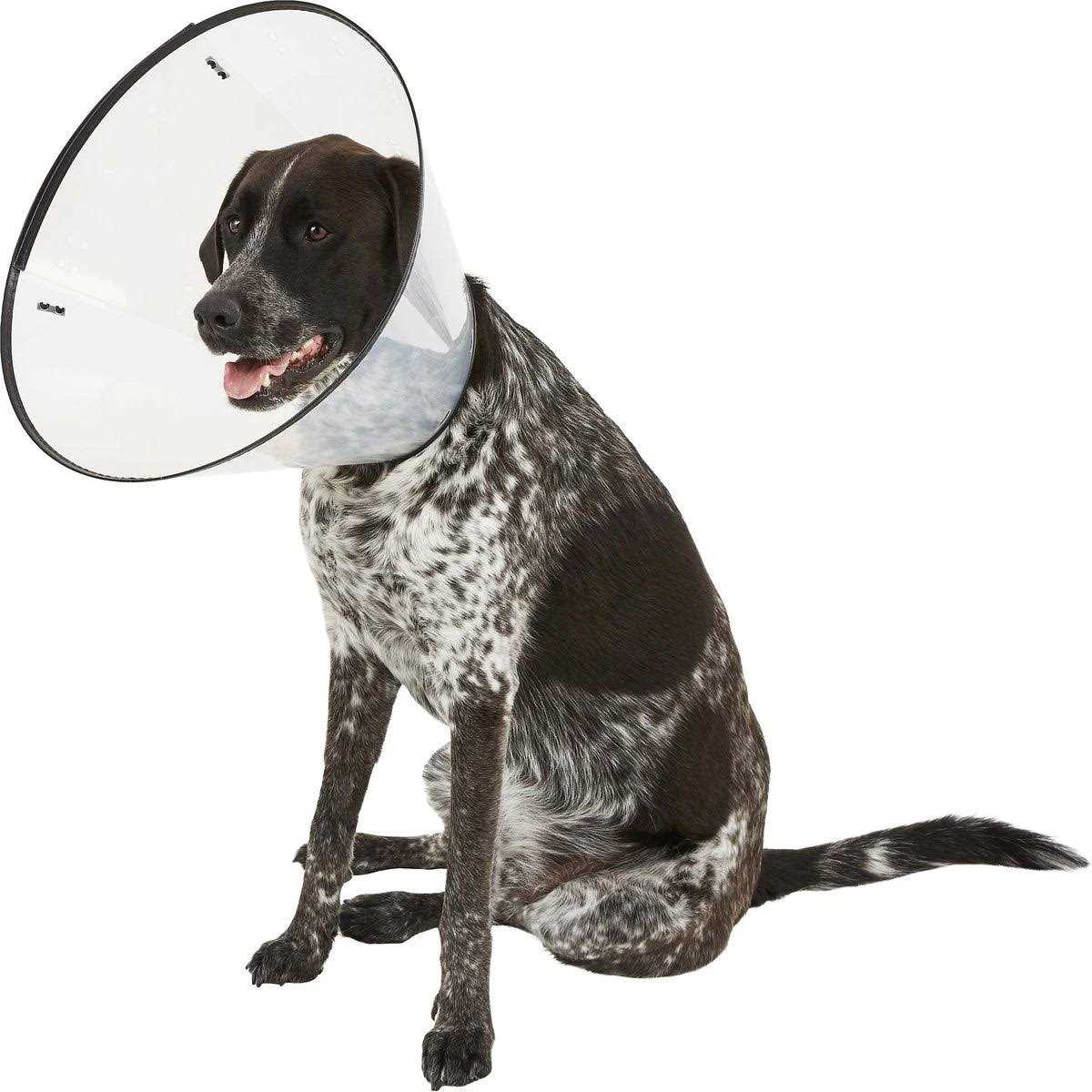 XL E-Collar H62975