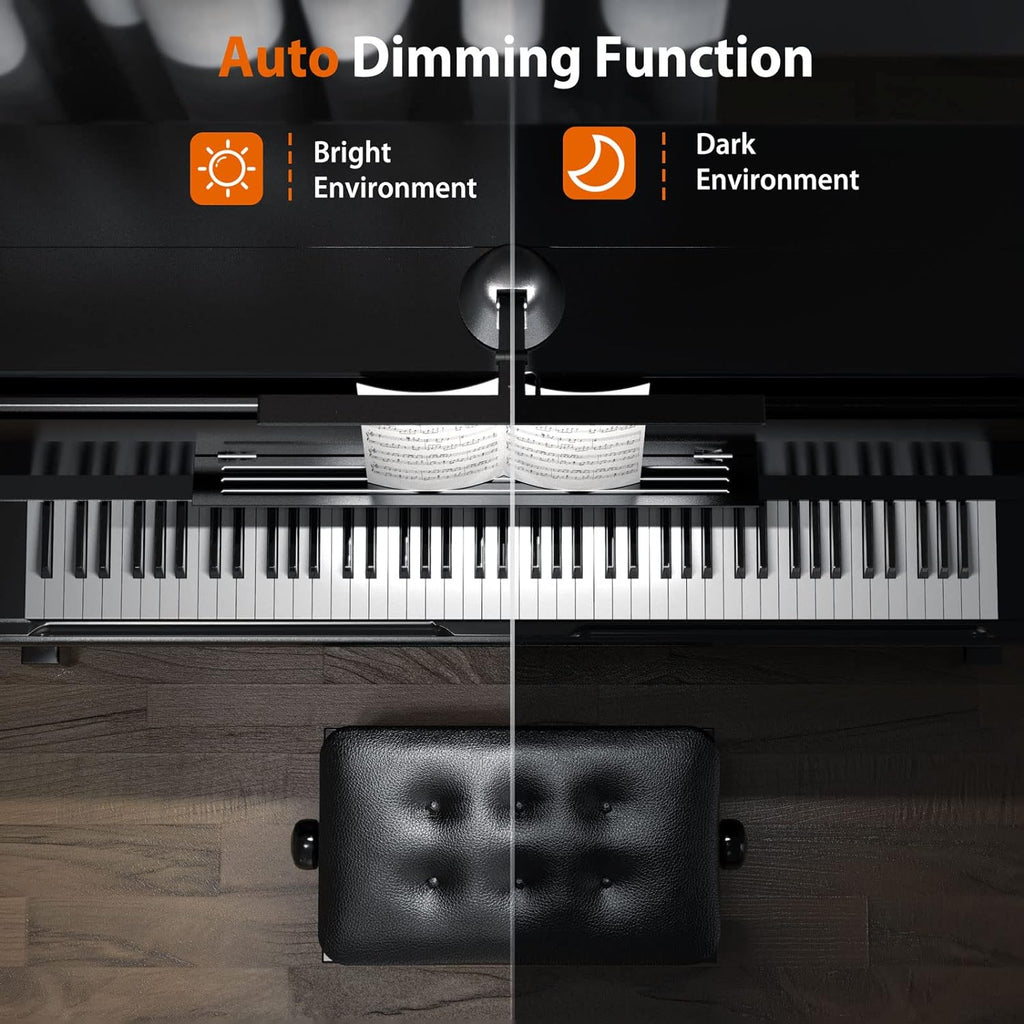 55'' 12W LED Dimmable Piano Lamp B8526