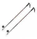 Ski Stick Carbon Safety S31924