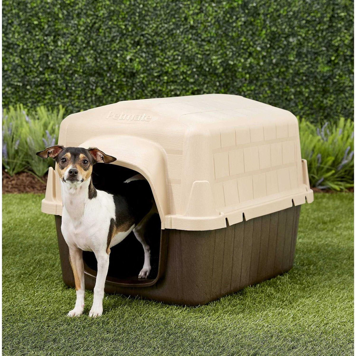 Dog House J97163