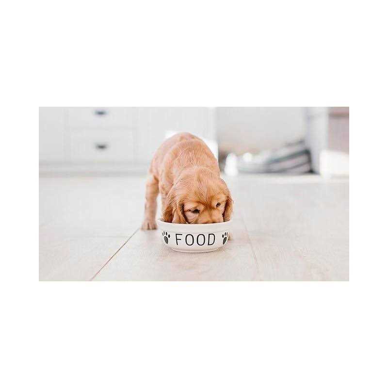 Chicken Rice Vegetable Dog Food Z984489