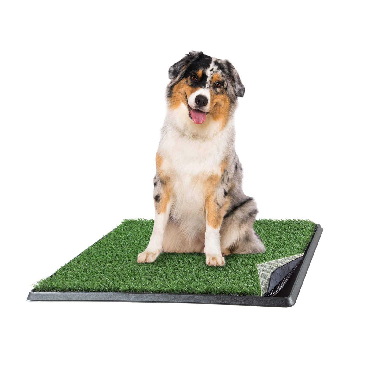 Artificial Grass Dog Potty Pad with Tray E5691