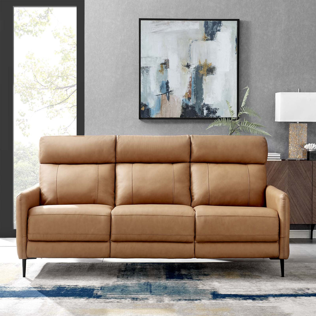 Tan Leather Sofa Y351076