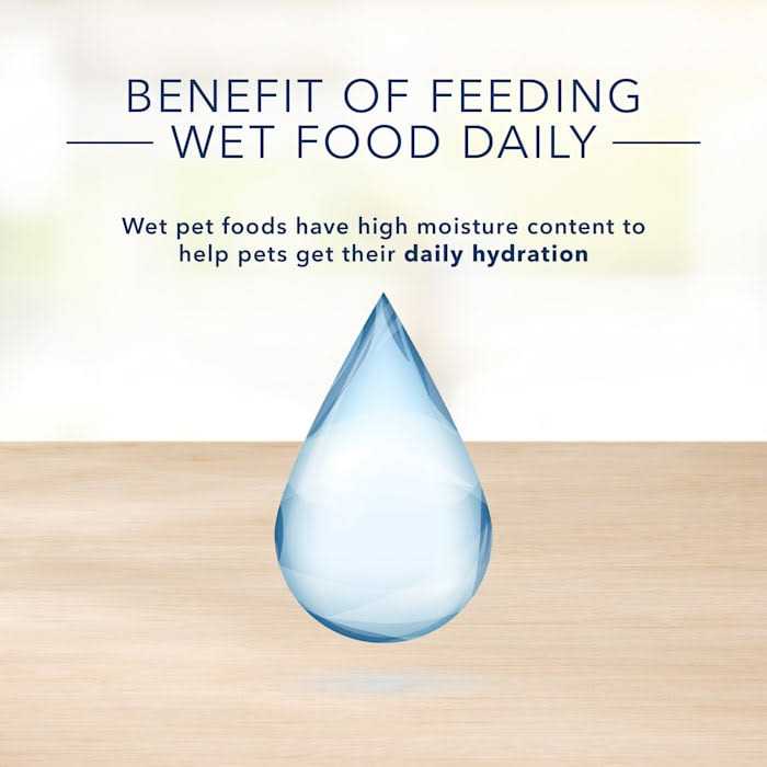 Adult Wet Dog Food H71992