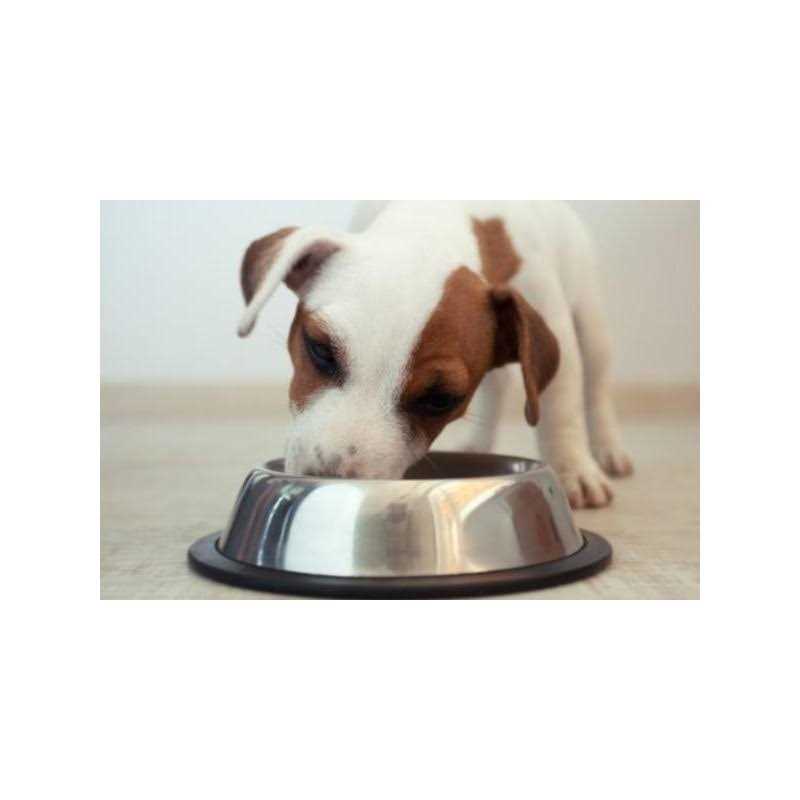 Chicken Rice Vegetable Dog Food Z984489
