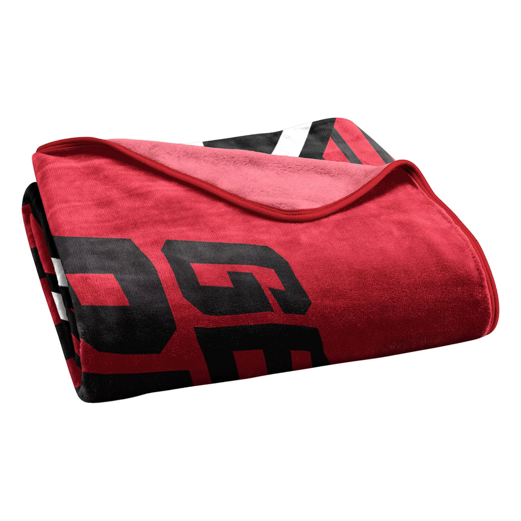Officially Licensed Raschel Throw Blanket 60" x 80" R54392