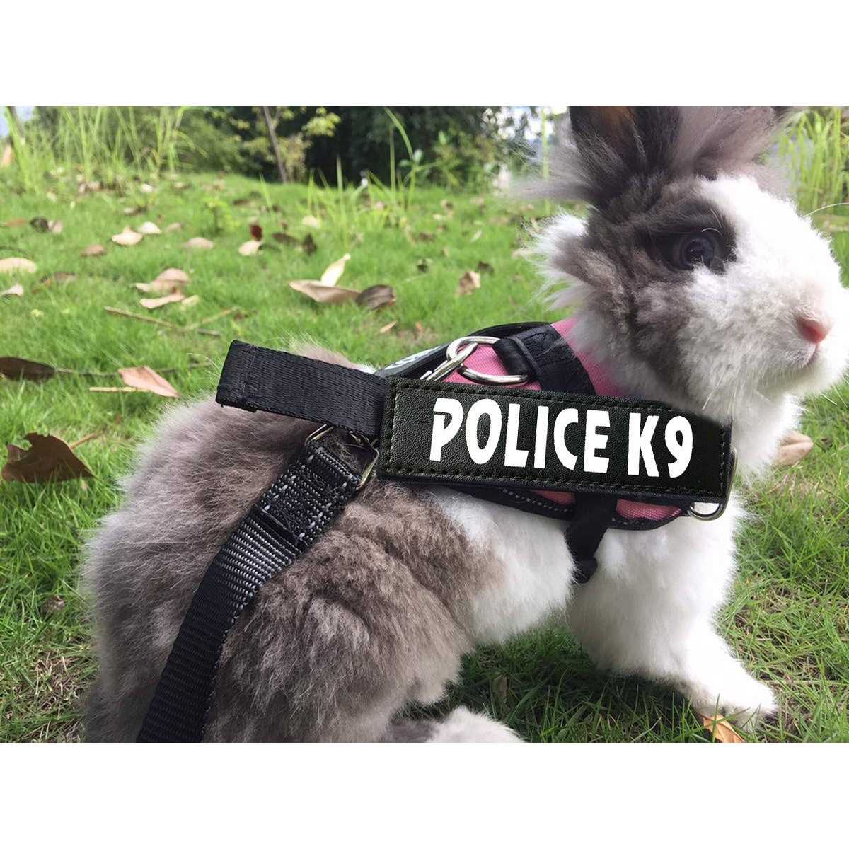 Rabbit Harness with Leash U12341