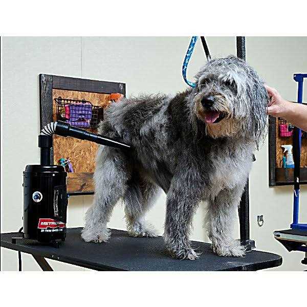 Hands-Free Pet Dryer U5551