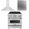 30 in. Dual Fuel Range, Range Hood, Dishwasher V28507