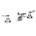 Widespread Bathroom Faucet P343