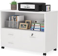 3 Drawer File Cabinet with Lock, Rolling Filing Cabinet with Printer Stand O265