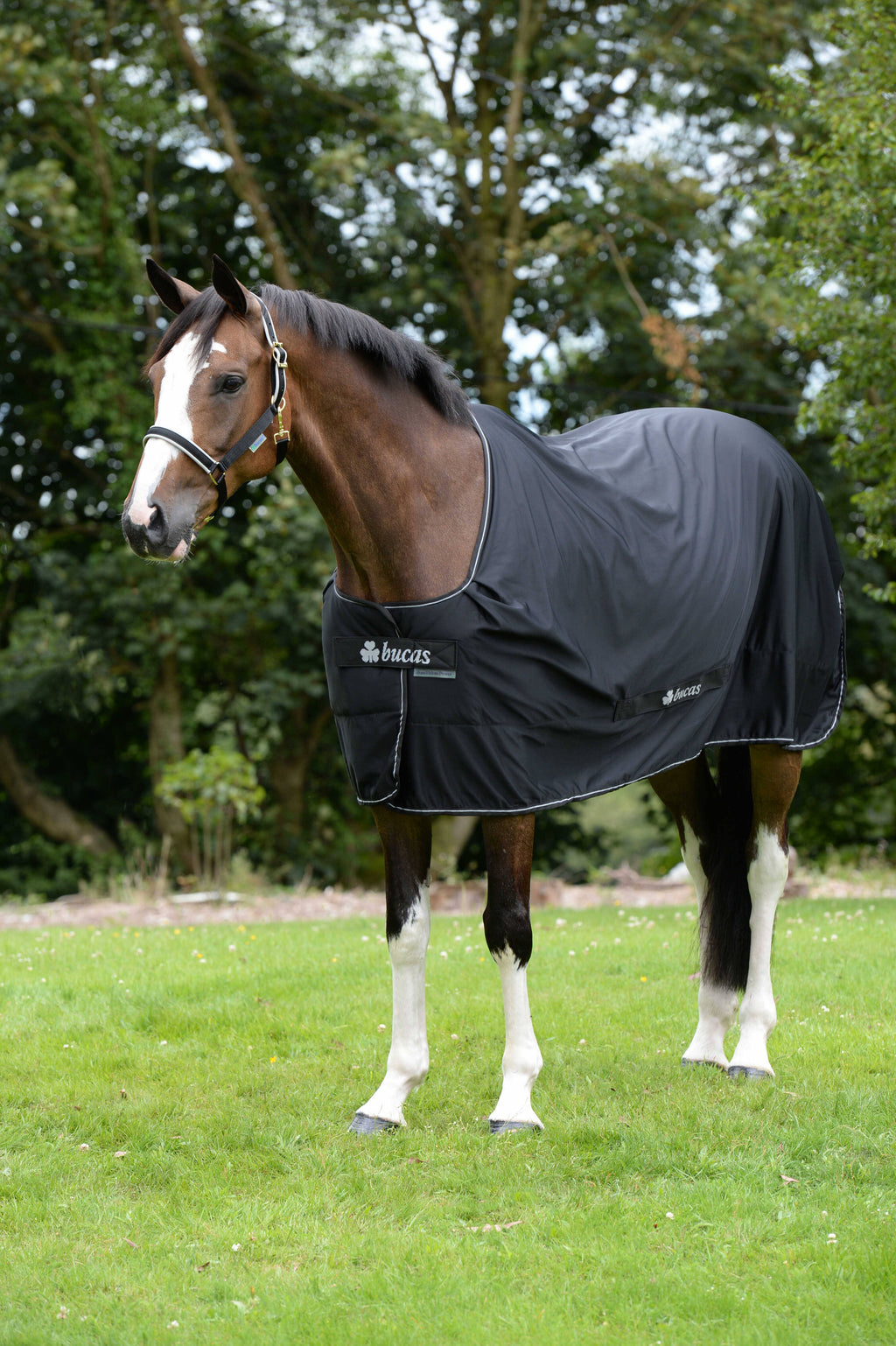 Black/Silver Cooler Y101