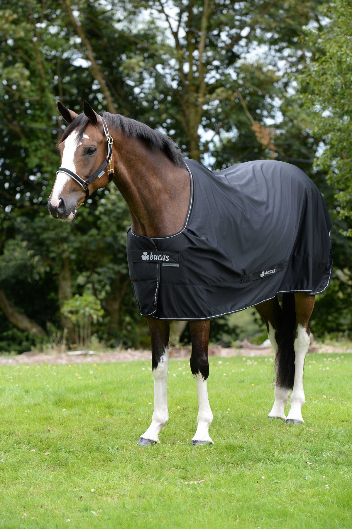 Black/Silver Cooler Y101