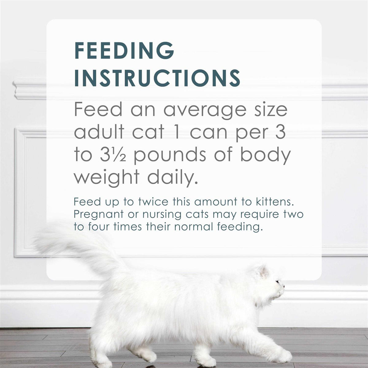 Salmon & Shrimp Cat Food J6980