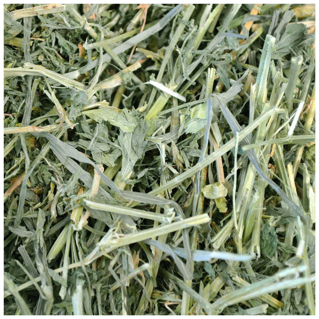 Alfalfa Hay Pet Supplies S703526