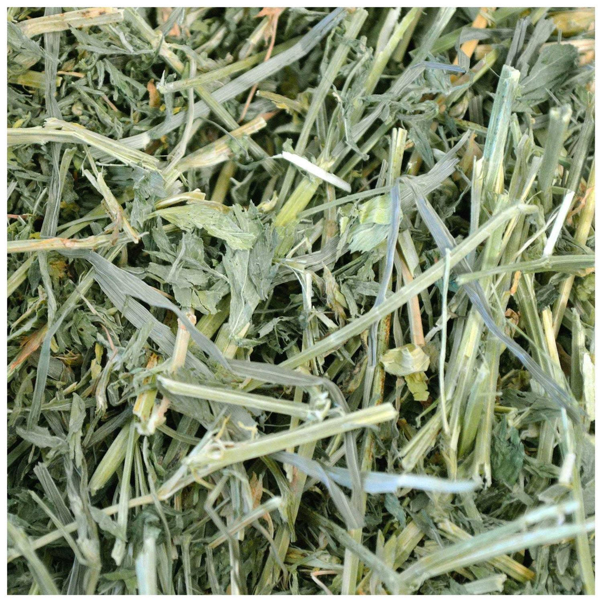 Alfalfa Hay Pet Supplies S703526