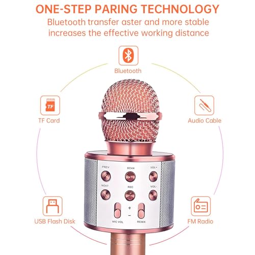 Wireless Bluetooth Karaoke Microphone 3-in-1 U593374