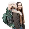 Dog Carrier B3496