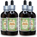 Black Currant Dried Leaves Alcohol-Free Liquid Extract 4x4 fl.oz D666228