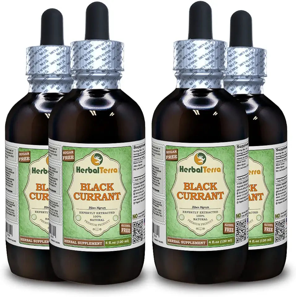 Black Currant Dried Leaves Alcohol-Free Liquid Extract 4x4 fl.oz D666228